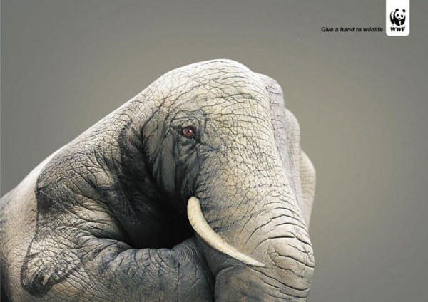 Most-Striking-WWF-posters-16 | TechnoCrazed