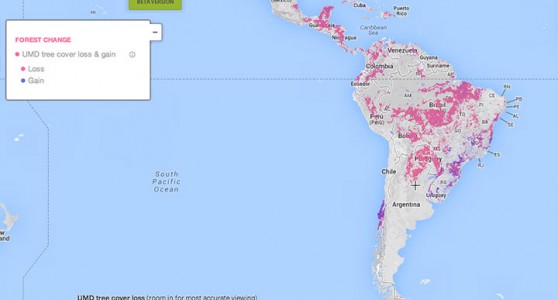 This Interactive World Map Reveals The Massive Deforestation Of Earth In Real Time-1