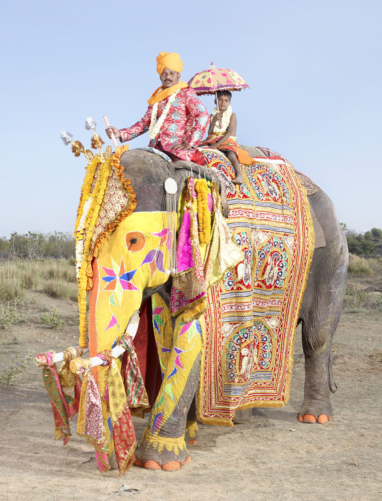 Top 20 Elephants Decorated In Thousand Colors For The Jaipur Elephant ...