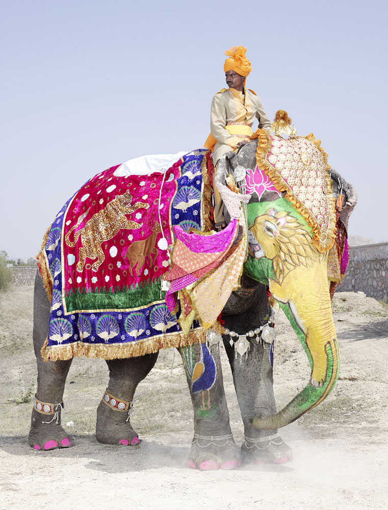 Top 20 Elephants Decorated In Thousand Colors For The Jaipur Elephant ...