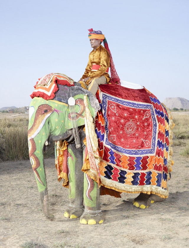 Top 20 Elephants Decorated In Thousand Colors For The Jaipur Elephant ...