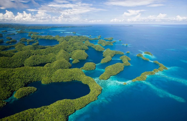 Palau-islands-Discover-This-Gigantic-Marine-Sanctuary-Where-Wildlife-Is ...