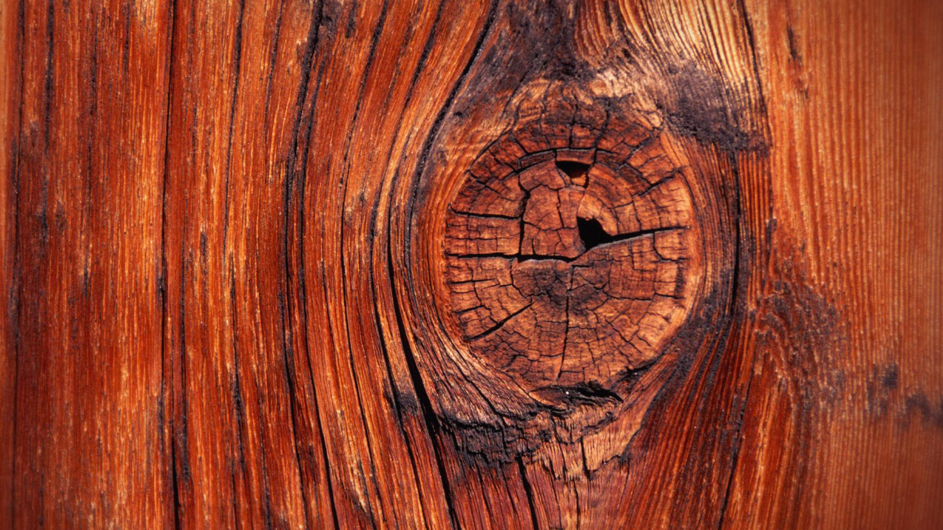 Free woodworking images Main Image