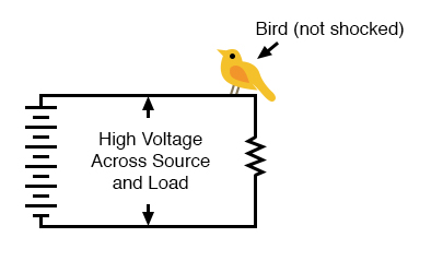 high voltage power without bird getting shocked