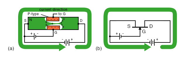 N-channel JFET current flow from drain to source in (a) cross-section, (b) schematic symbol.