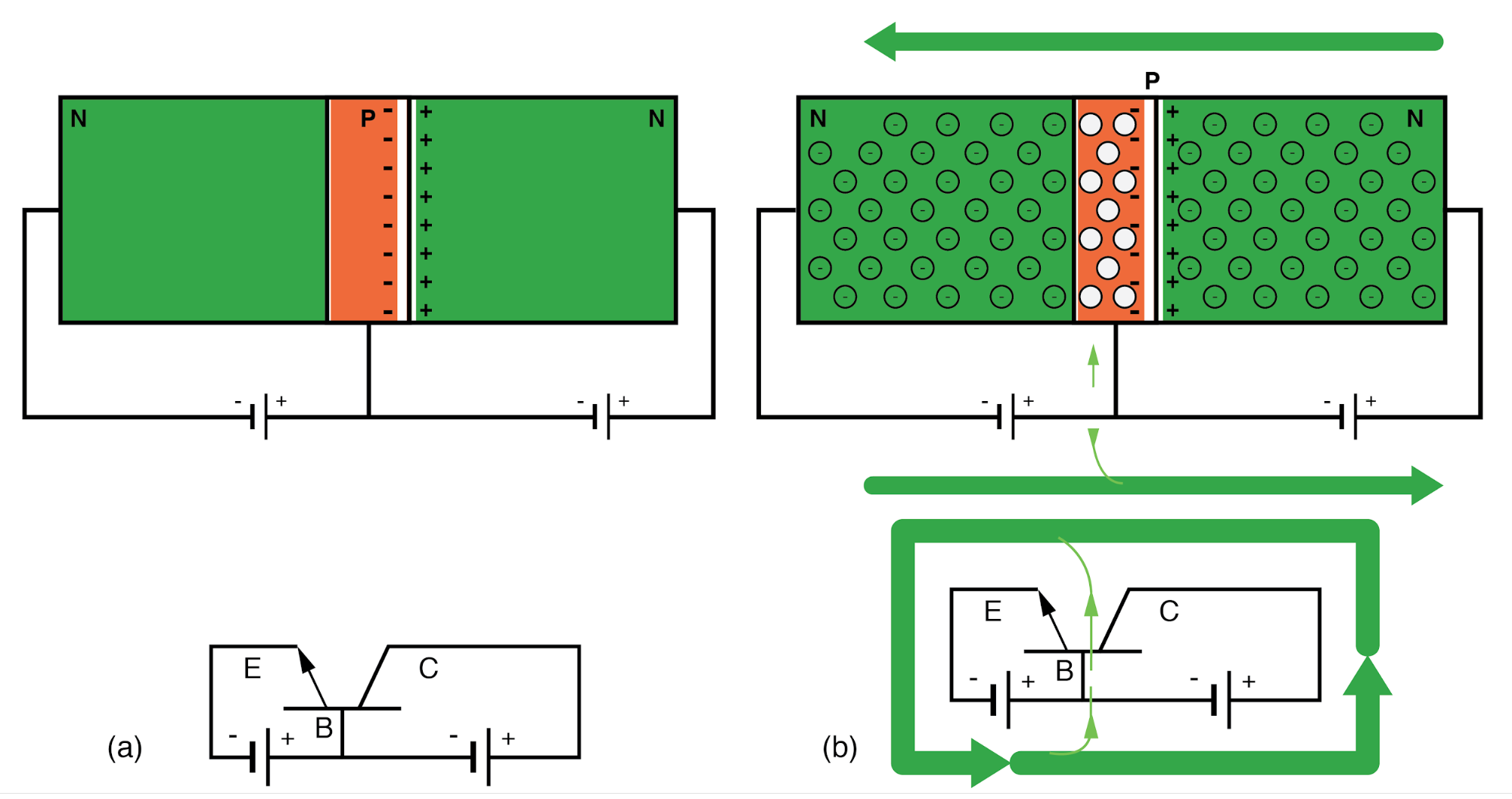 NPN junction bipolar transistor with reverse biased collector-base: (a) Adding forward bias to base-emitter junction, results in (b) a small base current and large emitter and collector currents.