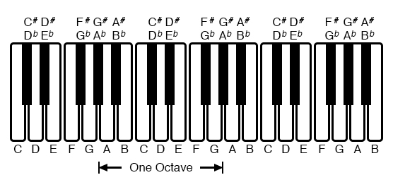 An octave is shown on a musical keyboard.