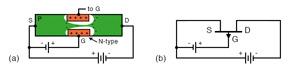 P-channel JFET: (a) N-type gate, P-type channel, reversed voltage sources compared with N-channel device. (b) Note reversed gate arrow and voltage sources on schematic.