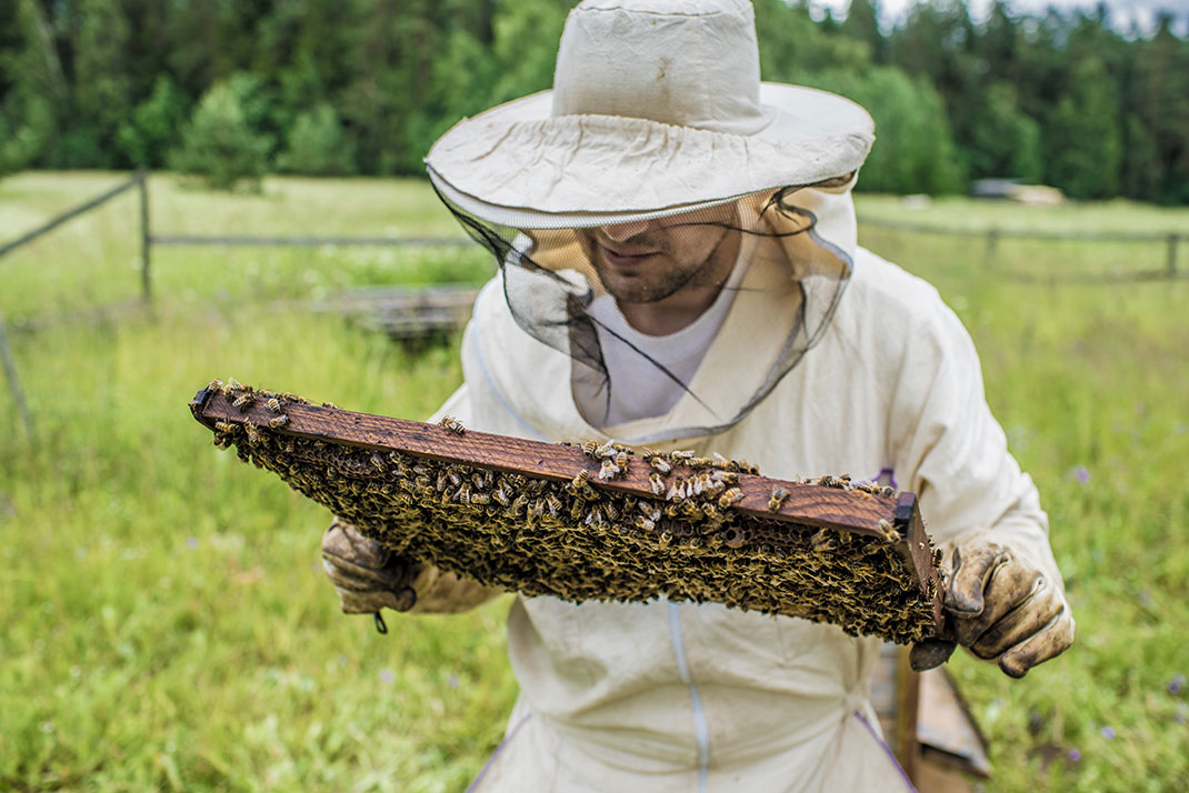 A beekeeper via Shutterstock
